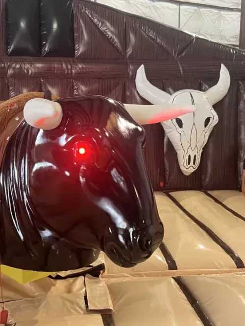 Mechanical Bulls with light up eyes